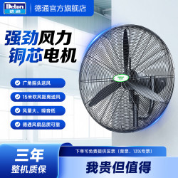 德通 绿标系列工业风扇壁挂强力风扇挂墙式可摇头工业大风扇绿标DF650-T