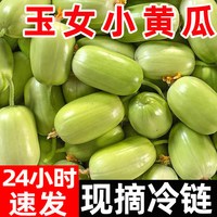 移动端：农大姐妹 黄瓜新鲜玉女黄瓜水果小黄瓜拇指黄瓜生吃青瓜东北旱白玉黄瓜蔬菜
