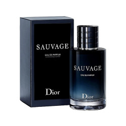 Dior 旷野男士香水浓香 EDP 100ml 木质调