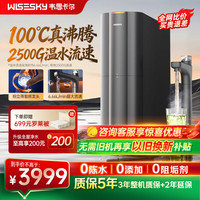 韦思卡尔 厨下加热净水器黑积木hot等效2500G温水大流量家用大通量热水净水器净热一体厨下净水器