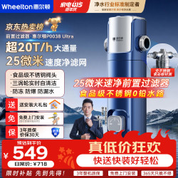WHEELTON 前置过滤器滤水器不锈钢盾前置全屋净水器入户自来水反冲洗自动洗20T大流量防