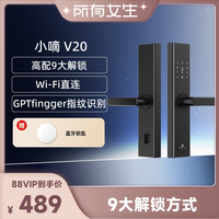德施曼 小嘀V20 指纹锁 典雅黑 电子智能锁