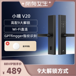 德施曼 小嘀V20 指纹锁 典雅黑 电子智能锁