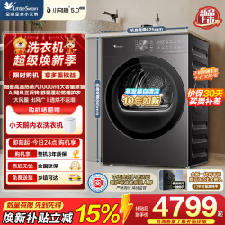 小天鹅 TH10K20