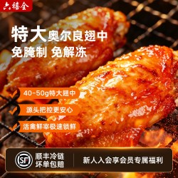 六禧全 奥尔良鸡翅中半成品食材空气炸锅烤翅冷冻翅根蜜汁鸡翅中