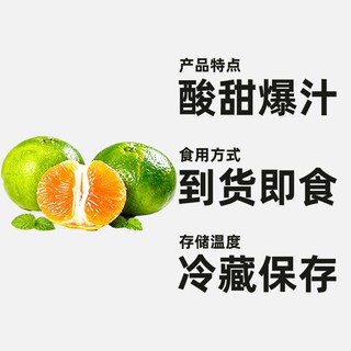 寻天果蔬 云南青皮蜜桔