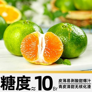 寻天果蔬 云南青皮蜜桔