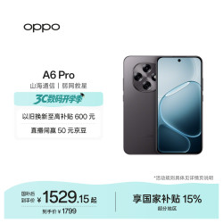OPPO A6 Pro IP69满级防水 墨玉黑 8GB+256GB 手机