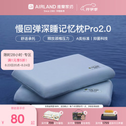 雅兰 家纺慢回弹记忆棉深睡枕单人护颈椎枕头深度睡眠枕芯 智眠深睡枕芯 单只