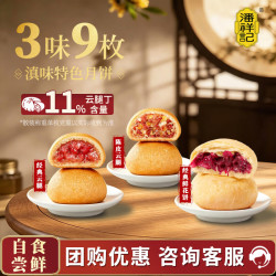 潘祥记 云腿月饼 3味9枚 滇式火腿糕点