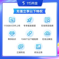 115 网盘 115网盘 1年VIP+115TB空间 专享会员提速通道 官方直充 自动到账
