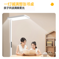 童视界 普瑞红光护眼大路灯 全光谱 120W 落地台灯