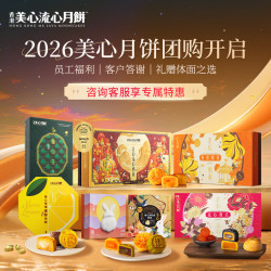 美心 香港进口 流心奶黄月饼礼盒