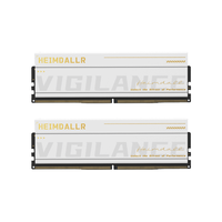 阿斯加特 16GB 8GBx2 DDR5 6000 台式机内存条 海姆达尔 马甲条