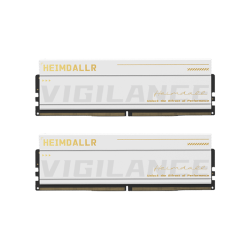 阿斯加特 16GB 8GBx2 DDR5 6000 台式机内存条 海姆达尔 马甲条