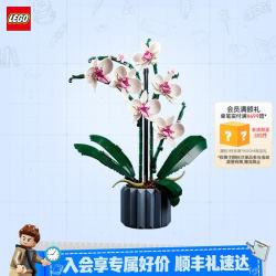 乐高 Botanical Collection植物收藏系列 10311 兰花