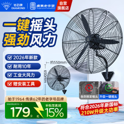 钻石牌 工业风扇大风力电风扇牛角扇壁扇大功率工业大风扇车间工厂商用立式吹甲醛LX