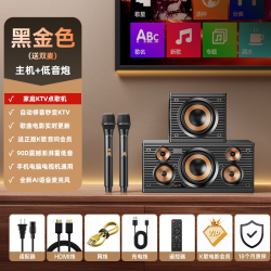 金运 家庭KTV音响套装一体麦克风智能点歌机K歌无线话筒唱歌卡拉OK