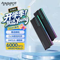 阿斯加特 48GB(24GBx2) DDR5 6000 台式机内存条 女武神·瓦尔基里II代 RGB灯条 精选颗粒 CL36 极夜黑 AI