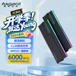 阿斯加特 48GB(24GBx2) DDR5 6000 台式机内存条 女武神·瓦尔基里II代 RGB灯条 精选颗粒 CL36