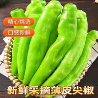 山东现摘新鲜虎皮辣椒超市生鲜尖椒青辣椒 净重0.8斤