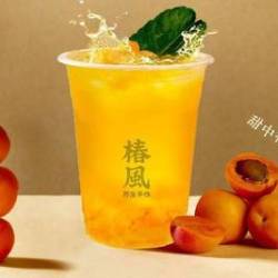 椿风 小红杏茉莉冰茶