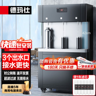 德玛仕 开水器商用直饮水机净水器工厂医院学校公司直饮加热过滤一体机一开两温SRZ-30/SRZ-3L-L3