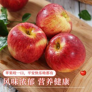 京地达 云南红露苹果 净重3斤 果径80mm+