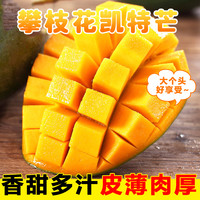 熊猫鸟 [熊猫鸟]精选攀枝花凯特芒 4.5斤 大果 单果400g左右 当季新鲜 热带水果