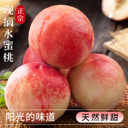 熊猫鸟 [熊猫鸟]露天新鲜 水蜜桃 脆桃(一段时间后会变软)净重4.5斤 约12-16颗脆甜口感