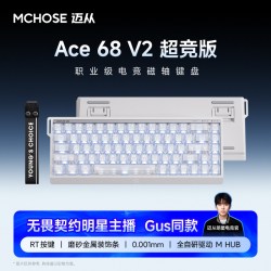 迈从 Ace 60 61键 有线机械键盘 黑色 蓝冰磁轴 无光