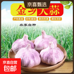 绿色健康食材金乡紫皮大蒜自然成熟新鲜饱满农家自产适合炒菜调味 大蒜（3.5cm-4.5cm）带箱2斤