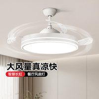 长虹 隐形风扇灯 吊灯