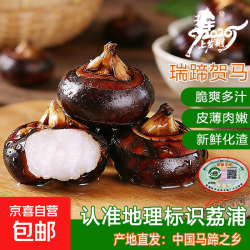 京喜加 荔浦特产马蹄现挖多汁时令蔬菜生新鲜食材特大马蹄果健康超市即食 特惠果1斤装
