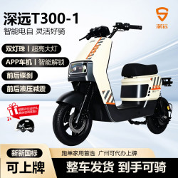 SYUAN 新新国标T300-1适合家用代步外卖送货轻松上牌 裸车+48V24A锂电池（可以上牌）