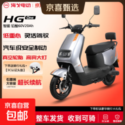 新款N1男女时尚电动车电摩家用车长续航包邮 灰色 72V22A全新石墨烯铅酸电池（包邮）