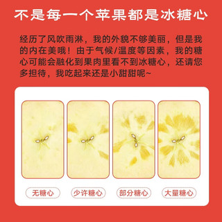 吉果叔 冰糖心红富士苹果 单果60-65mm 净重4.5-5斤