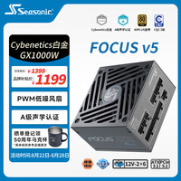 海韵 1000W 双色线材白金认证 电脑电源
