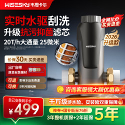 韦思卡尔 前置过滤器WSP-100-85T水驱款实测20吨/时大流量自己安装