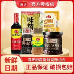 海天 厨房调味组合套装生抽鸡精鸡汁XO酱鲜齑汁炒菜拌饭火锅蘸料
