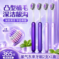 BQB 橄榄头螺旋弹力软毛牙刷高密高档护龈深层清洁成人男女家用牙刷 软毛 2支 紫气东来牙刷*2盒