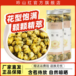 吟山红 超级省活动桐乡胎菊花茶泡水花草茶凉茶罐装 胎菊30g*2罐