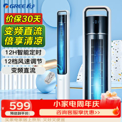 格力 电风扇塔扇家用落地扇无叶风扇轻音低噪母婴智能遥控定时直流变频FLZ-09X63Bg