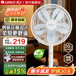 格力 直流变频遥控电风扇 一级能效低噪轻音 风随温变台地两用 落地扇风扇