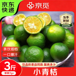 京觅 小青柠檬小青金桔 净重3斤单果7g+奶茶店泡茶用 水果源头直发包邮