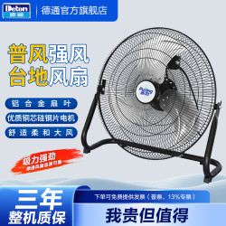 德通普风风扇趴地扇爬地扇台地风扇家用坐地扇工业台式风扇 FE2-40  （16寸 220V）