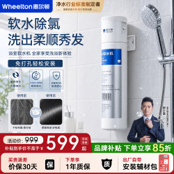 WHEELTON mini软水机小型迷你软水机树脂软水去水垢阻垢