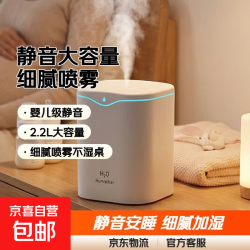 加湿器家用空气加湿器净化器香薰机空调房加湿器usb静音卧室孕妇婴儿喷雾宿舍学生女生礼物