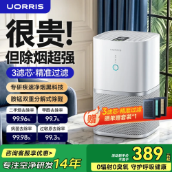 欧瑞氏 空气净化器除甲醛除烟味除tvoc新房急入住母婴桌面家用卧室除异味过敏鼻炎净化机