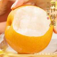 粤迎 山东秋月梨 单果303g+ 5斤装